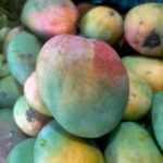 Mango Lalmoni