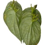 Betel Leaves 20 pcs (Pan)