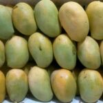 Fresh Mango Kesor