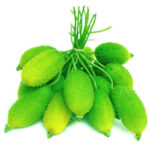 Spine gourd (Bhat karela)