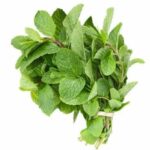 Mint leaves (Pudina pat)